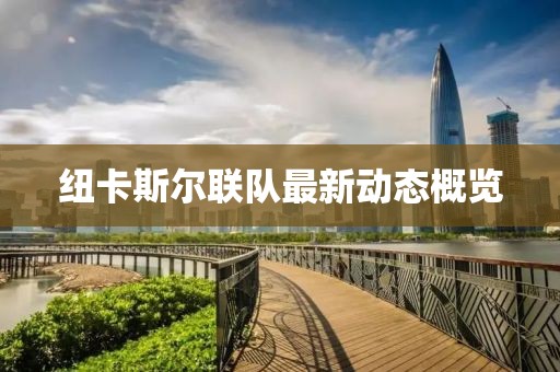 纽卡斯尔联队最新动态概览