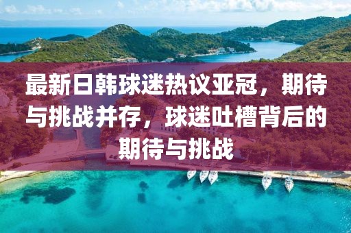 最新日韩球迷热议亚冠，期待与挑战并存，球迷吐槽背后的期待与挑战