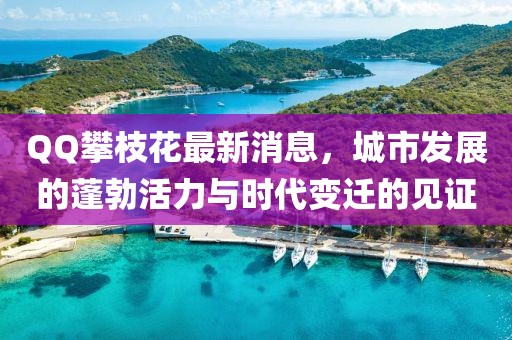 QQ攀枝花最新消息，城市发展的蓬勃活力与时代变迁的见证