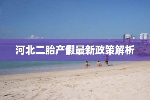 河北二胎产假最新政策解析