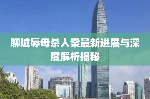 聊城辱母杀人案最新进展与深度解析揭秘