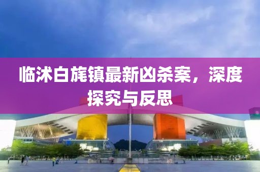 临沭白旄镇最新凶杀案，深度探究与反思