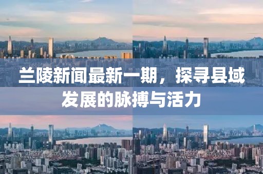 兰陵新闻最新一期，探寻县域发展的脉搏与活力