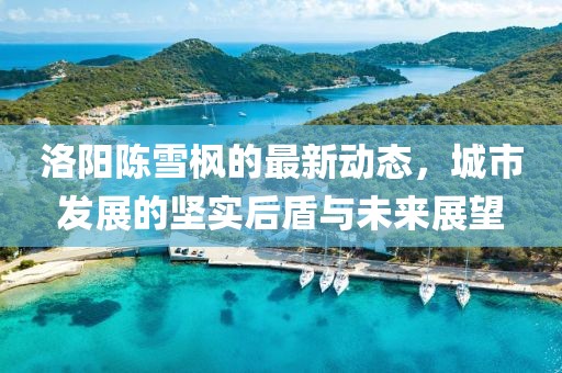 洛阳陈雪枫的最新动态，城市发展的坚实后盾与未来展望