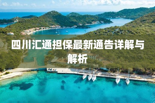 四川汇通担保最新通告详解与解析