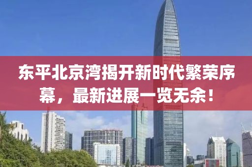 东平北京湾揭开新时代繁荣序幕，最新进展一览无余！