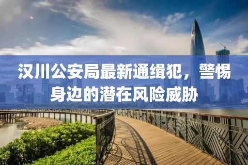 汉川公安局最新通缉犯，警惕身边的潜在风险威胁