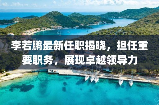 李若鹏最新任职揭晓，担任重要职务，展现卓越领导力
