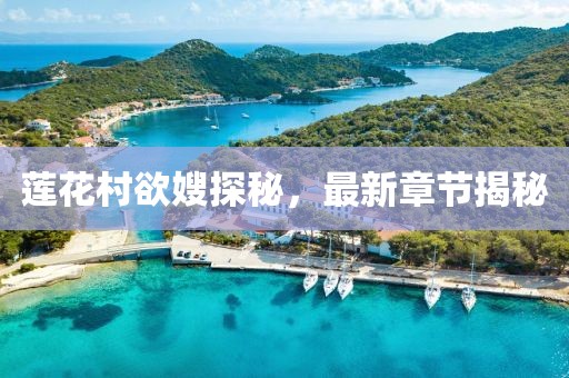 莲花村欲嫂探秘，最新章节揭秘