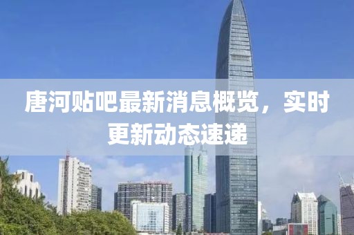 唐河贴吧最新消息概览，实时更新动态速递