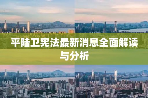 平陆卫宪法最新消息全面解读与分析