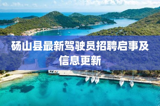 肆战作王 第16页