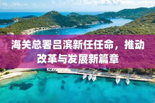 海关总署吕滨新任任命，推动改革与发展新篇章