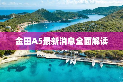 金田A5最新消息全面解读