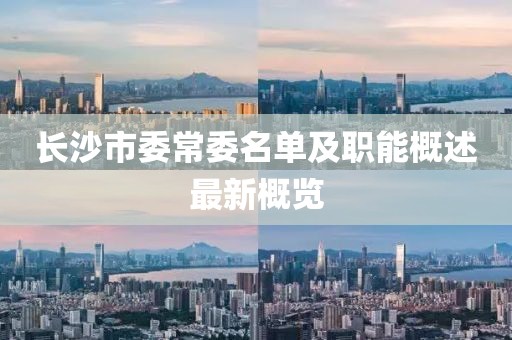 长沙市委常委名单及职能概述最新概览