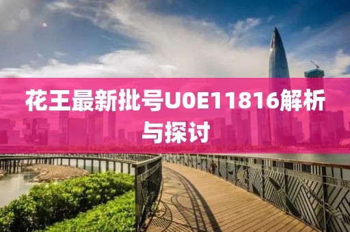 花王最新批号U0E11816解析与探讨