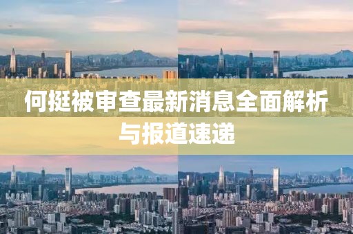 何挺被审查最新消息全面解析与报道速递