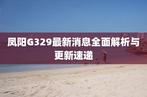凤阳G329最新消息全面解析与更新速递