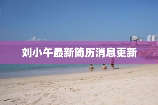 刘小午最新简历消息更新