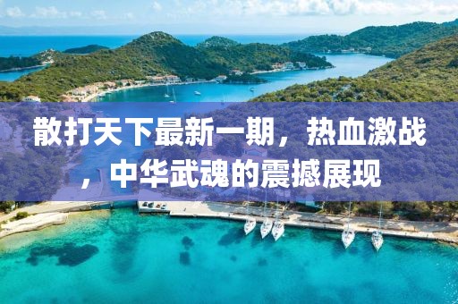 散打天下最新一期，热血激战，中华武魂的震撼展现