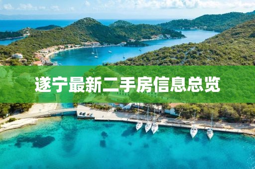 花开无言 第17页