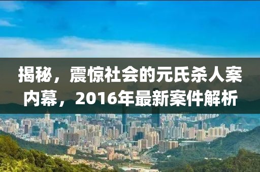 揭秘，震惊社会的元氏杀人案内幕，2016年最新案件解析