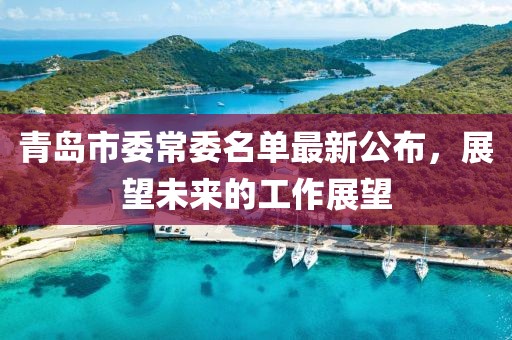 青岛市委常委名单最新公布，展望未来的工作展望