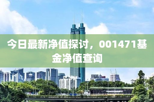 今日最新净值探讨，001471基金净值查询
