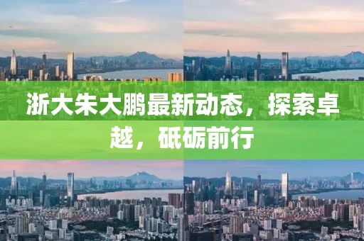 浙大朱大鹏最新动态，探索卓越，砥砺前行
