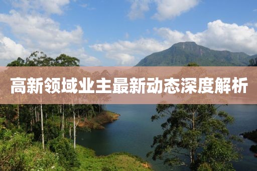 高新领域业主最新动态深度解析