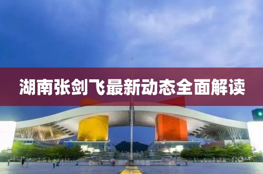 湖南张剑飞最新动态全面解读