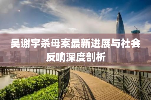 吴谢宇杀母案最新进展与社会反响深度剖析
