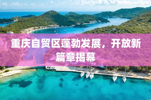 重庆自贸区蓬勃发展，开放新篇章揭幕