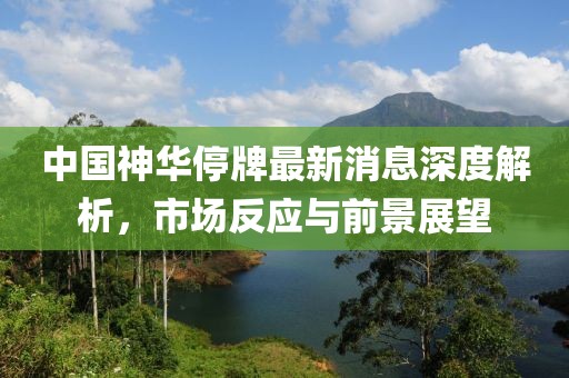 中国神华停牌最新消息深度解析，市场反应与前景展望