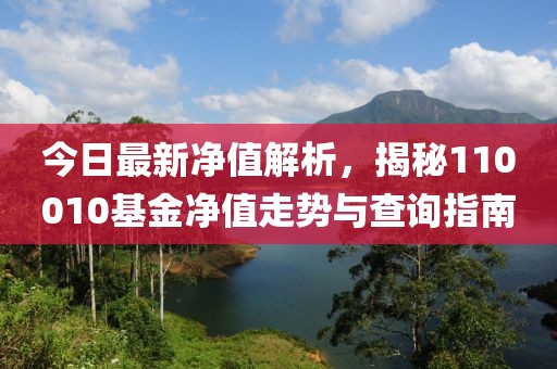 今日最新净值解析，揭秘110010基金净值走势与查询指南
