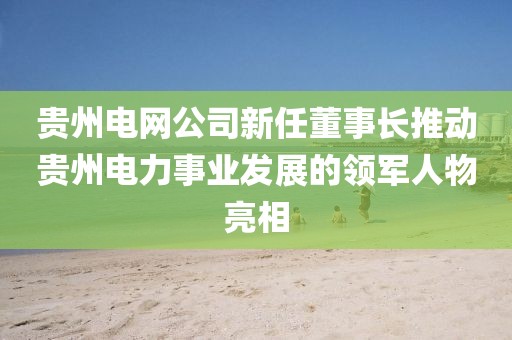 贵州电网公司新任董事长推动贵州电力事业发展的领军人物亮相