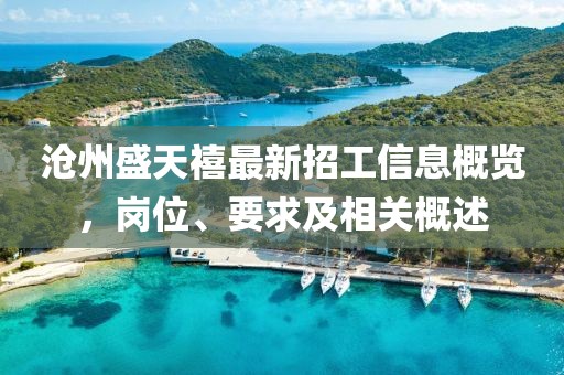 沧州盛天禧最新招工信息概览，岗位、要求及相关概述