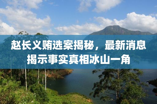 赵长义贿选案揭秘，最新消息揭示事实真相冰山一角