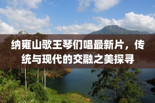 纳雍山歌王琴们唱最新片，传统与现代的交融之美探寻