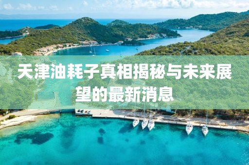 天津油耗子真相揭秘与未来展望的最新消息
