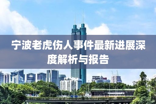 宁波老虎伤人事件最新进展深度解析与报告