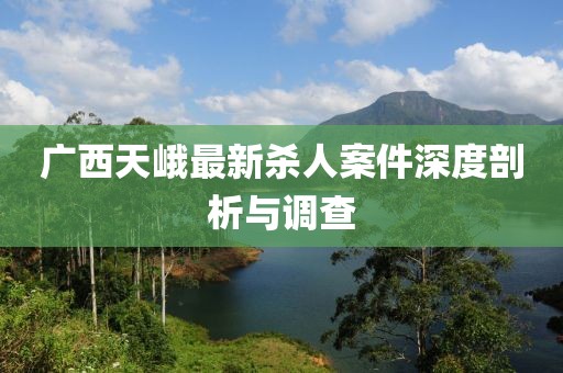 广西天峨最新杀人案件深度剖析与调查