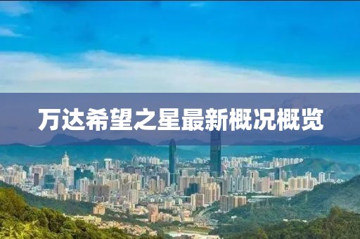 万达希望之星最新概况概览