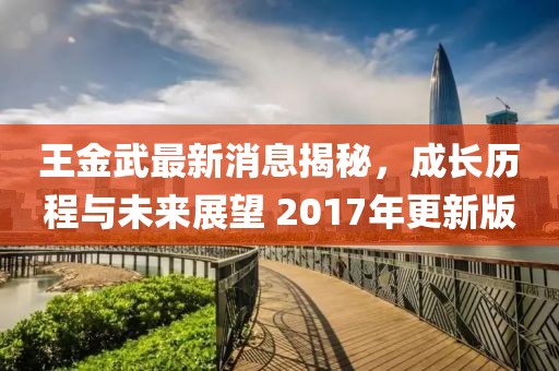 王金武最新消息揭秘，成长历程与未来展望 2017年更新版