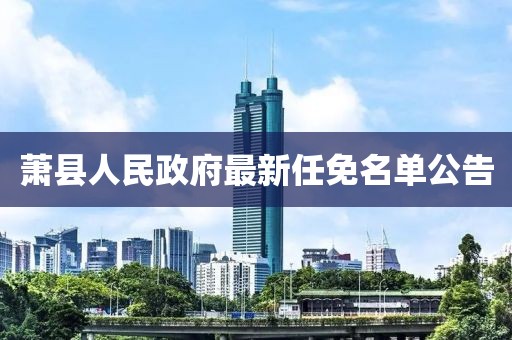 萧县人民政府最新任免名单公告