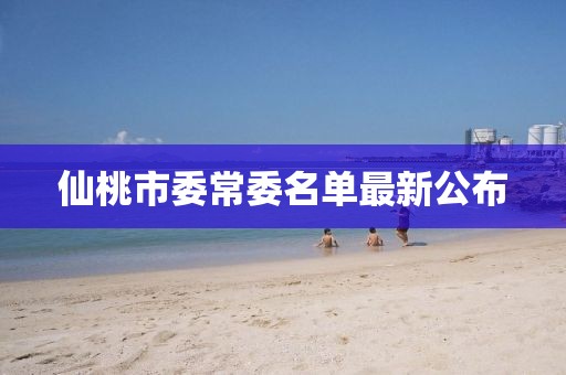 仙桃市委常委名单最新公布
