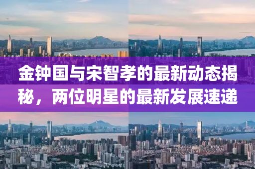 金钟国与宋智孝的最新动态揭秘，两位明星的最新发展速递
