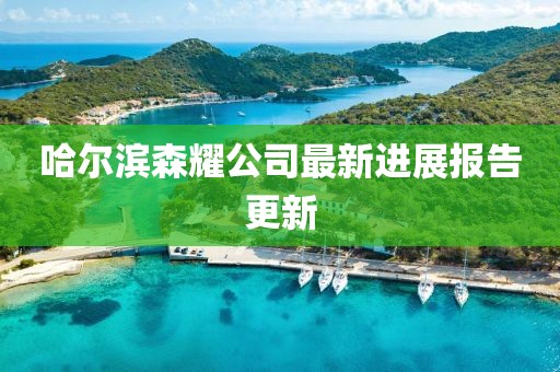哈尔滨森耀公司最新进展报告更新