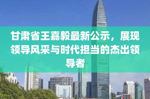 甘肃省王嘉毅最新公示，展现领导风采与时代担当的杰出领导者