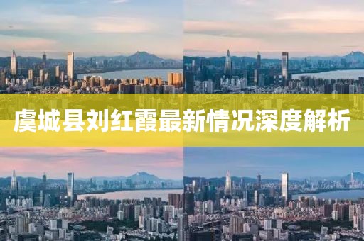虞城县刘红霞最新情况深度解析